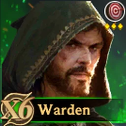 Warden Rise of Castles hero