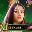 Sakura Blossom, middle row